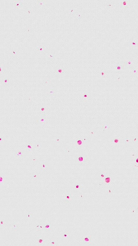 Vertical Sparse Pink Plum and Ume Petals, Seamless Loop, Alpha Stock Footage 337991730