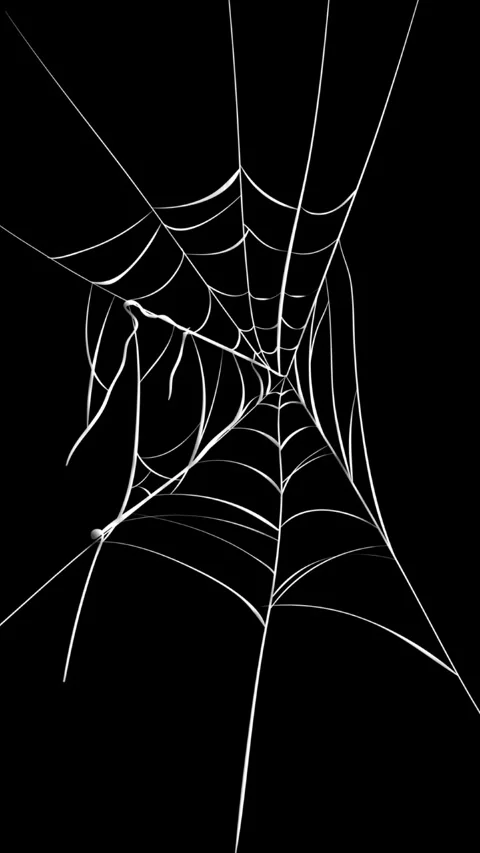 Vertical Spider Web Blowing in the Breeze 4K Loop Stock Footage 275617626