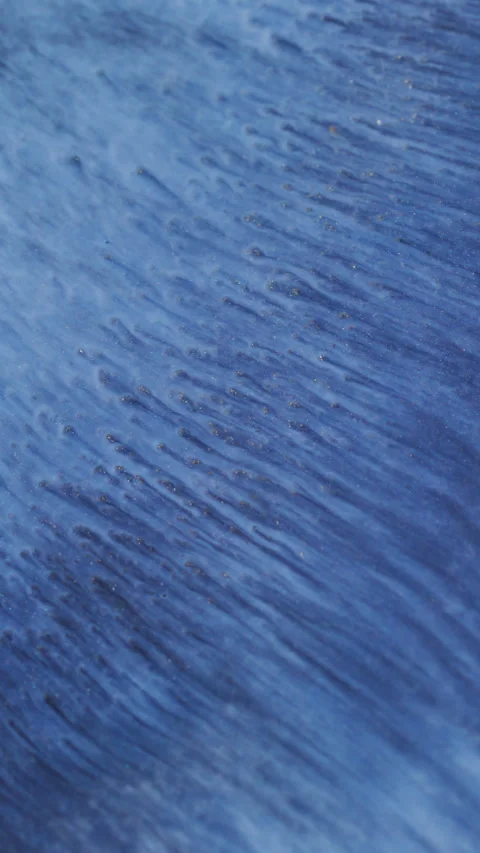 Vertical splash drip ink water ripple particles 스톡 동영상 335185283