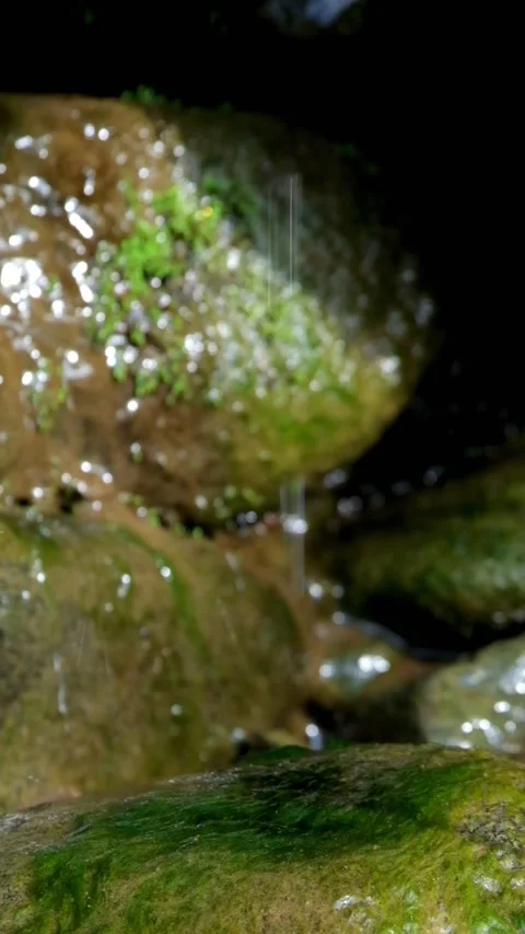 Vertical splash of water from a spring that falls on mossy rocks Video stock 320954279