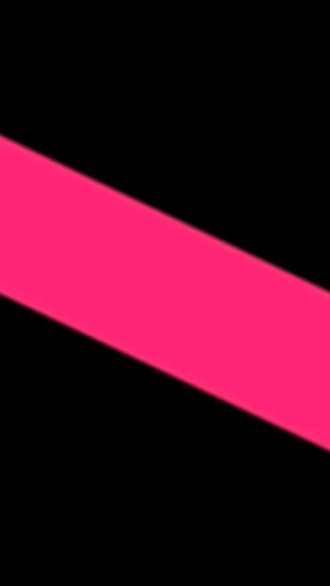 Vertical Split Transition Sharp Left Rose Overlay 動画素材 339135494