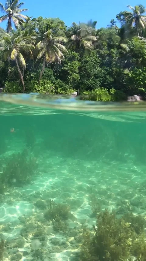 Vertical split underwater view of Anse Royale beach Video stock 343382153