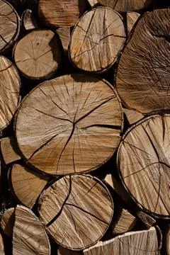 Vertical squeezed logs Stock Photos