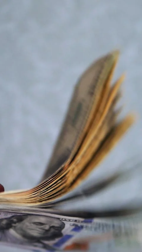 Vertical. A stack of crisp, dollar bills, held in capable hands. Stock Footage 304632506