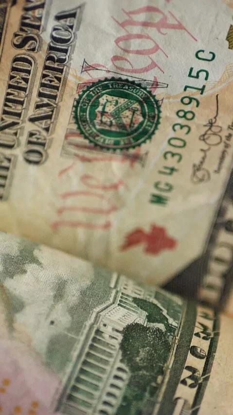 Vertical. A stack of crisp, dollar bills, held in capable hands. Stock Footage 304632703
