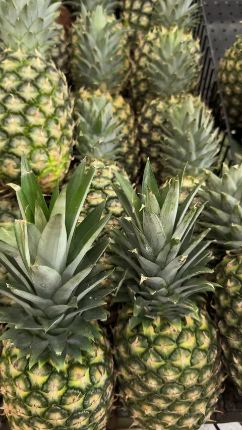 Vertical Stack of Fresh Whole Pineapples in Grocery Display Stock Footage 337983600