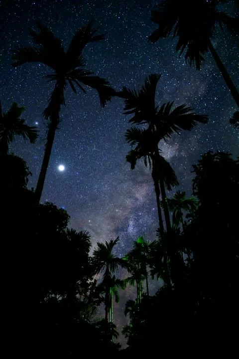Vertical Star Time Lapse, Milky Way Galaxy At Night Stock Footage 137966380