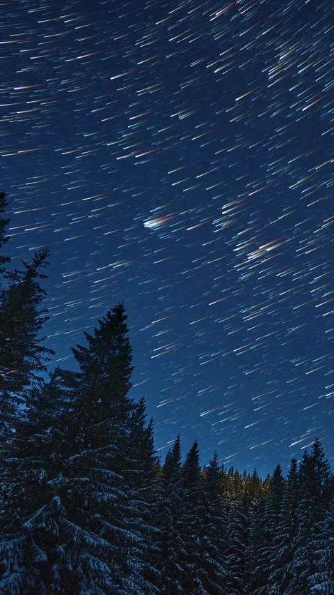 Vertical star trails timelapse above calm snowy winter forest and dark night sky Stock-Footage 321751260