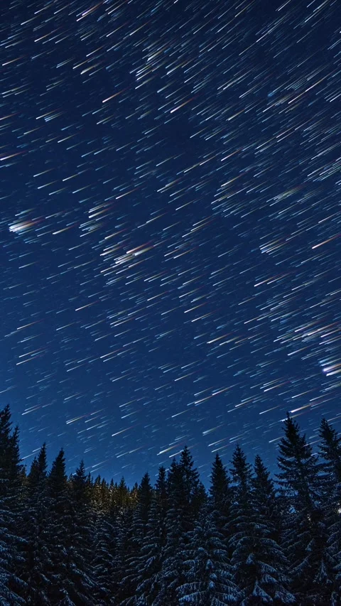 Vertical star trails timelapse above calm snowy winter forest and dark night sky Stock Footage 323216882