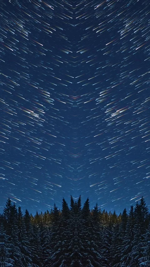 Vertical star trails timelapse above dark conifer forest with mirrored night sky Stock Footage 324420559