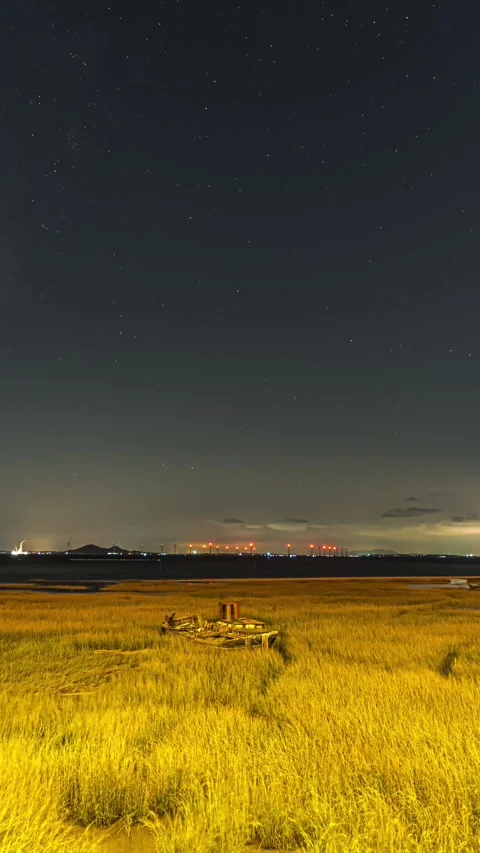 Vertical Starry Night Sky Milky Way Galaxy Motion Timelapse Stock Footage 327670230