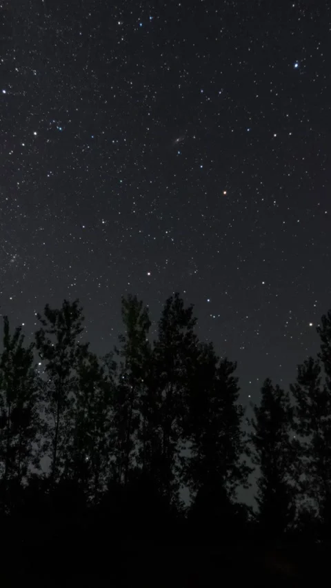Vertical Starry Night Sky Milky Way Galaxy Motion Stars Timelapse Stock Footage 327671747