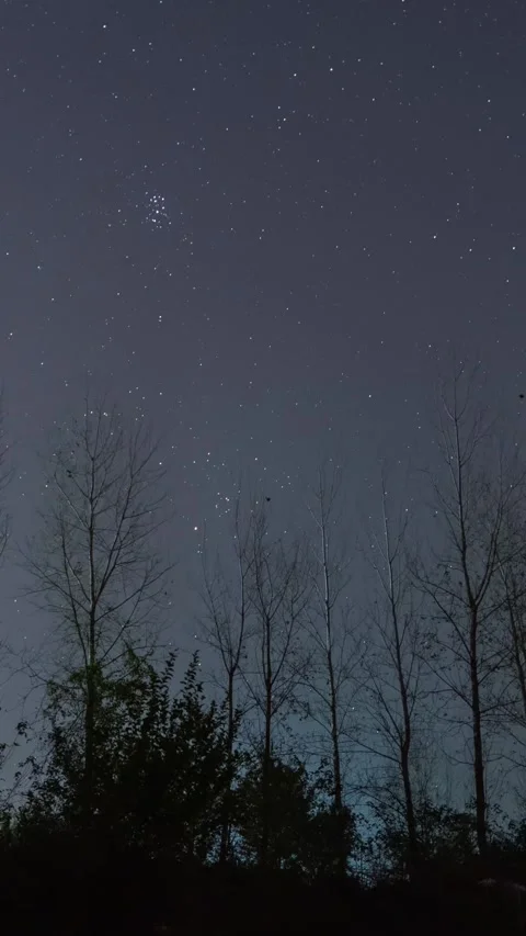 Vertical Starry Night Sky Milky Way Galaxy Motion Stars Timelapse Stock Footage 327671773