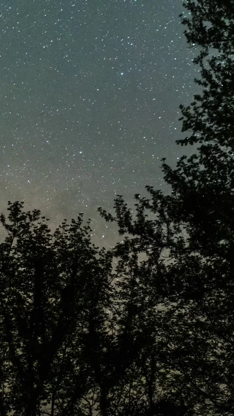 Vertical Starry Night Sky Milky Way Galaxy Motion Stars Timelapse Stock Footage 327671780