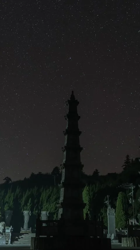 Vertical Starry Night Sky Milky Way Galaxy Motion Stars Timelapse Stock Footage 327672664