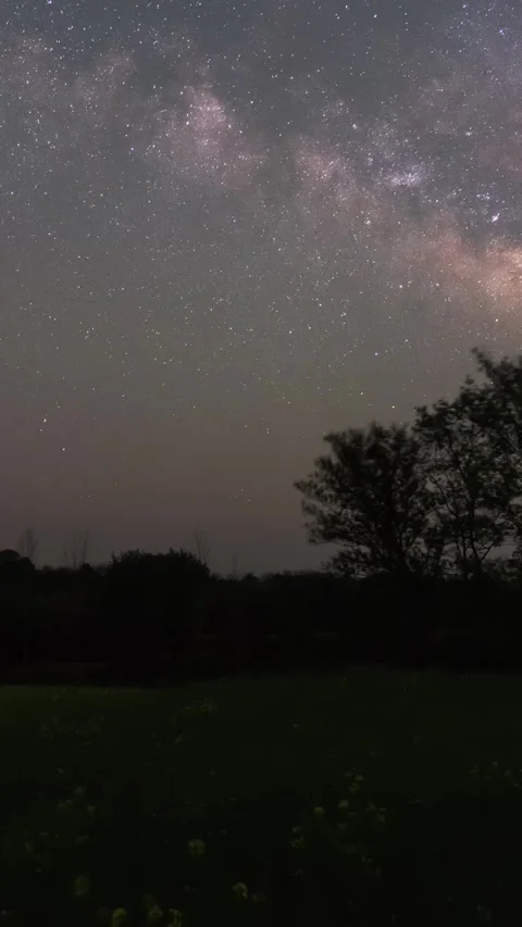 Vertical Starry Night Sky Milky Way Galaxy Flow Motion Timelapse Stock Footage 327675256