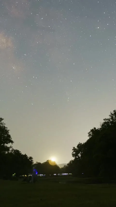 Vertical Starry Night Sky Timelapse with Milky Way and Twinkling Stars Stock Footage 327600074