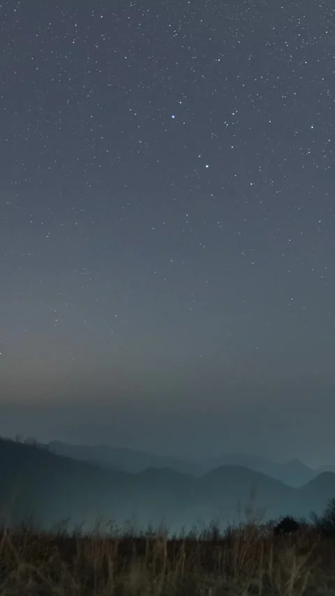 Vertical Starry Night Sky Timelapse with Milky Way and Twinkling Stars Stock Footage 327600461