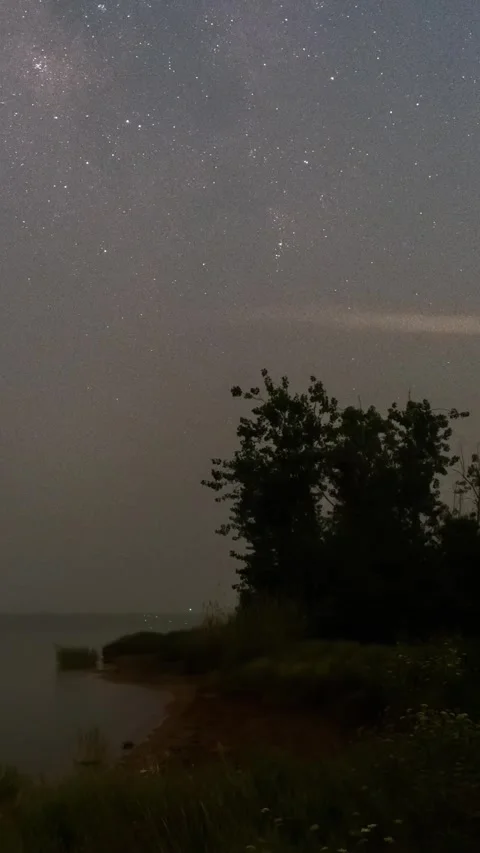 Vertical Starry Night Sky Timelapse with Milky Way Galaxy Motion Stock Footage 327668742