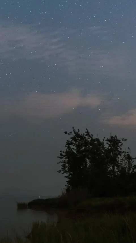 Vertical Starry Night Sky Timelapse with Milky Way Galaxy Motion Stock Footage 327668751