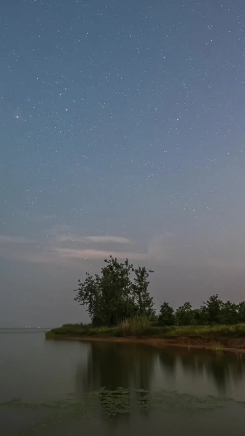 Vertical Starry Night Sky Timelapse with Milky Way Galaxy Motion Stock Footage 327668771