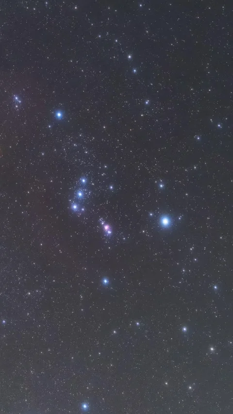Vertical Starry Night Sky Timelapse with Milky Way Galaxy Motion Stock Footage 327668820