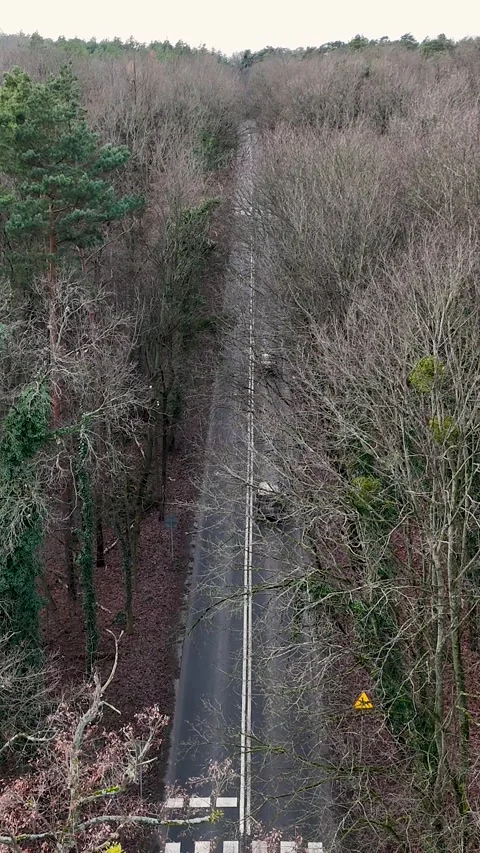 Vertical Static Aerial Drone View of Cars Driving Through Forest Road Stock Footage 323875686