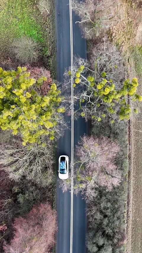 Vertical Static Aerial Top Down View of Cars Passing on Forest Road Stock Footage 323875762