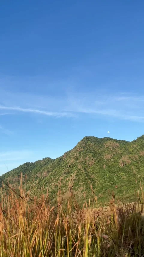Vertical Static Mountain Landscape with Daytime Moon Bali Stock Footage 335941282