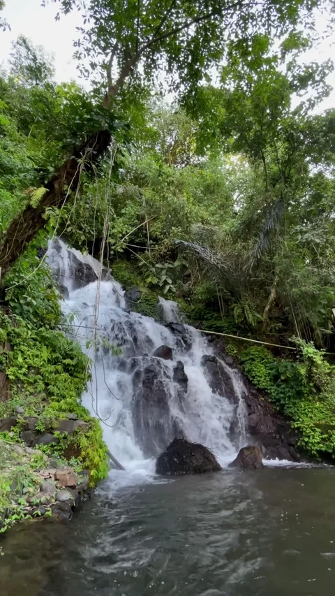 Vertical Static Shot of Bali Jungle Waterfall with Hanging Vines Stock Footage 339249974