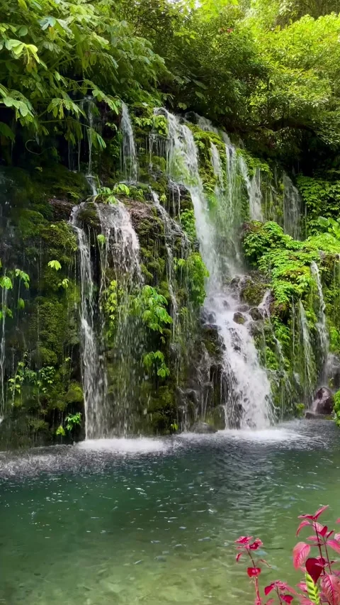 Vertical Static Shot of Beautiful Curtain Waterfall and Pond in Bali Stock Footage 339449641