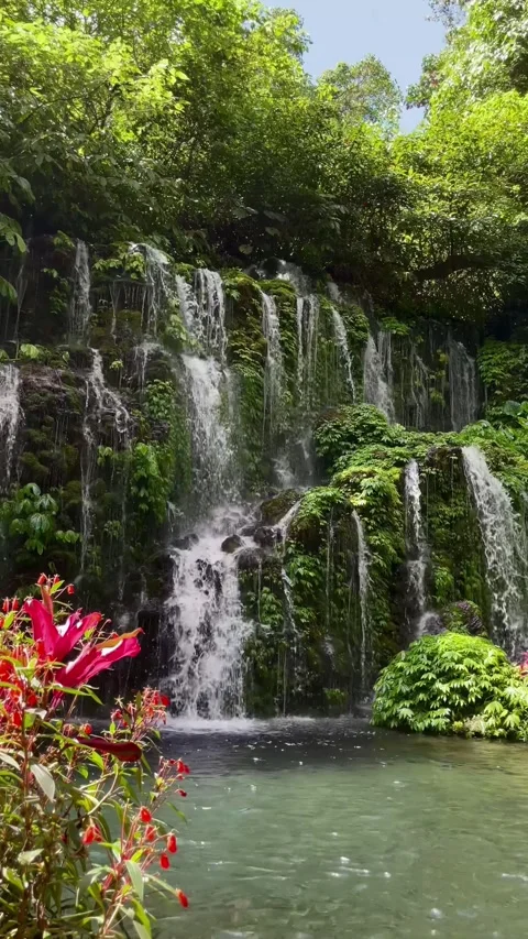 Vertical Static Shot of Beautiful Curtain Waterfall and Pond in Bali Stock Footage 339449712