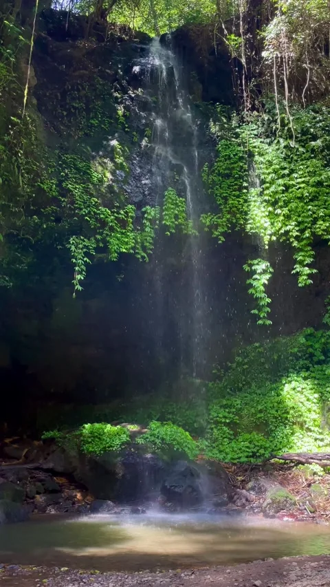 Vertical Static Shot of Beautiful Tropical Jungle Waterfall in Bali Stock Footage 339449596