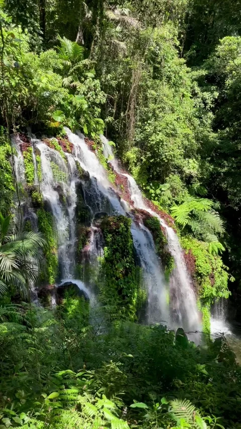 Vertical Static Shot of Beautiful Tropical Jungle Waterfall in Bali Stock Footage 339450216
