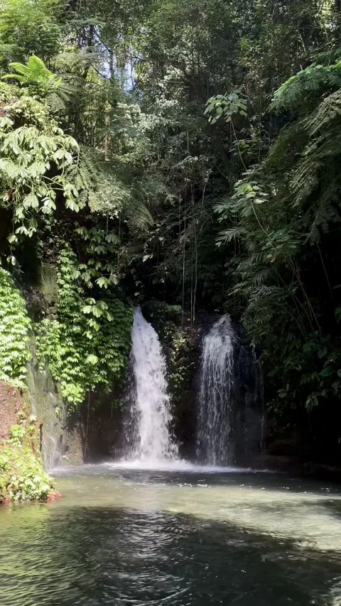 Vertical Static Shot of Beautiful Twin Tropical Waterfall in Bali Jungle Stock Footage 339450629