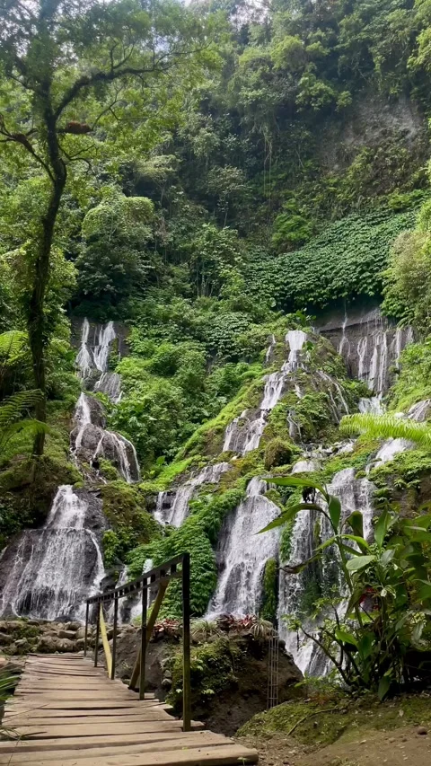 Vertical Static Shot of Cascade Waterfall with Wooden Bridge Bali Stock Footage 340562344
