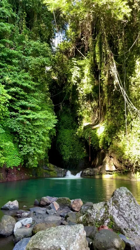 Vertical static shot of a hidden cave waterfall and emerald lagoon in Bali Stock Footage 336904288