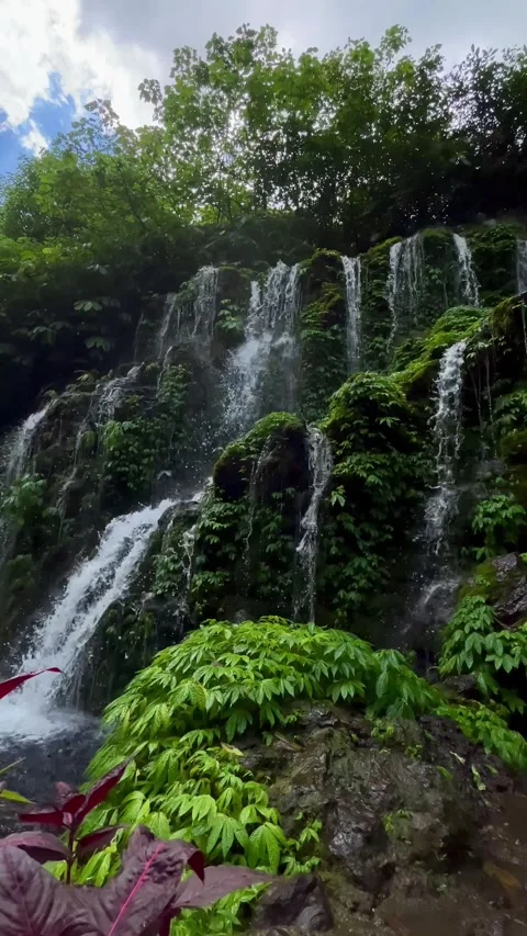 Vertical Static Shot of Lush Tropical Curtain Waterfall in Bali Stock Footage 339449907