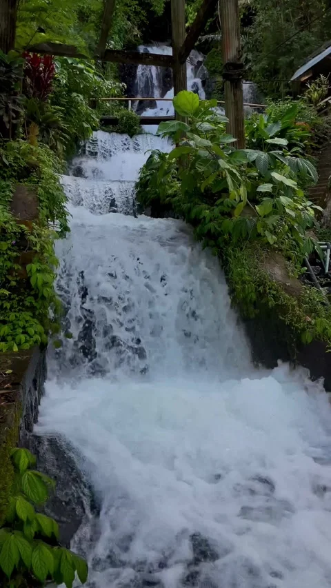 Vertical Static Shot of Powerful Multi Tiered Waterfall in Bali Stock Footage 339249989