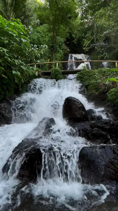 Vertical Static Shot of Rushing Jungle Waterfall with Bamboo Bridge in Bali Stock Footage 339249899