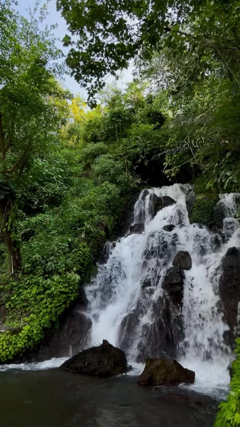 Vertical Static Shot of Rushing Jungle Waterfall in Bali Stock Footage 339249938