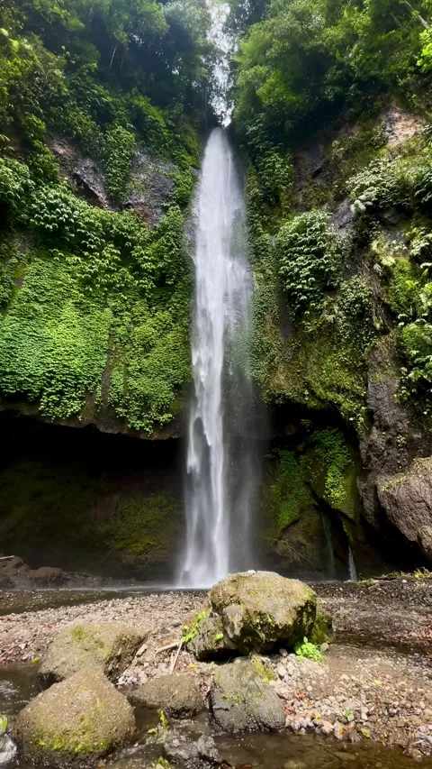 Vertical Static Shot of Tall Waterfall in Bali Jungle Stock Footage 340562430
