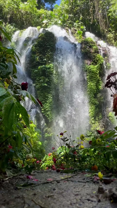 Vertical Static Shot of Tropical Waterfall Framed with Flowers in Bali Stock Footage 339450427