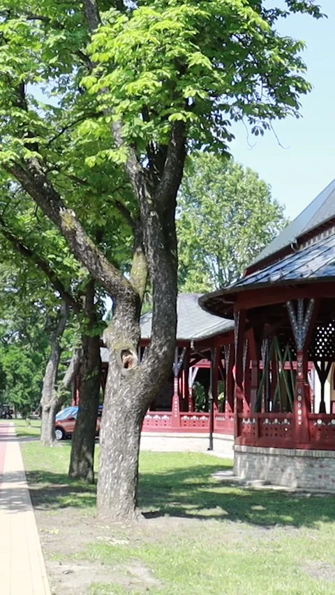 Vertical Static Shot of Vintage Wooden Pavilion in Park - 9:16 Stock Footage 334891553