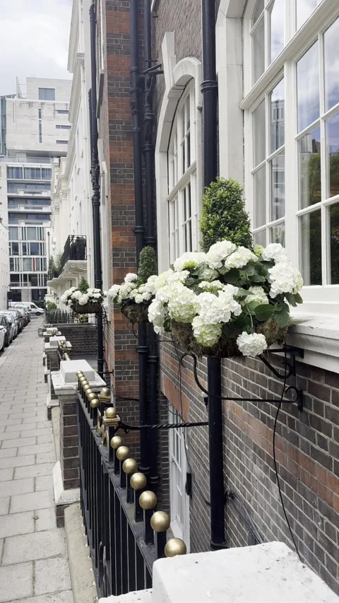 Vertical static shot of white flowers on elegant London building facade Stock Footage 336680159