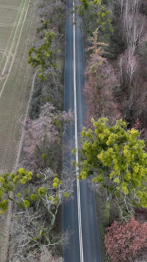 Vertical Static Top-Down Drone View of Cars on Forest Road 스톡 동영상 323877730