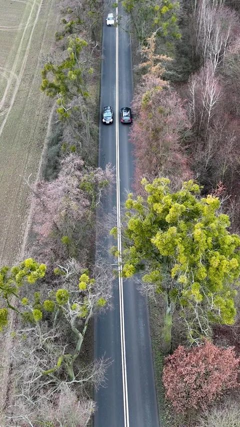Vertical Static Top-Down Drone View of Truck and Car on Forest Road Stock Footage 323877738