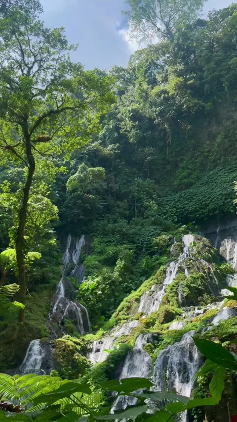 Vertical Static Wide Shot of Cascade Waterfall in Bali Jungle Stock Footage 340562409