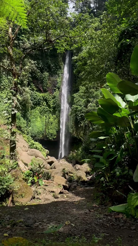Vertical Static Wide Shot of Tall Waterfall in Bali Stock Footage 340562500