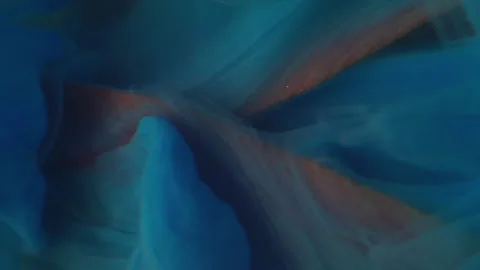 Vertical steam flower paint wave plant tulip water Stock Footage 343736870